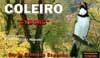 Clique para detalhes