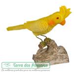 Clique para detalhes