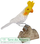 Clique para detalhes