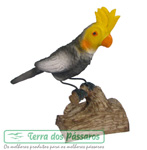 Clique para detalhes
