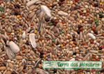 Clique para detalhes