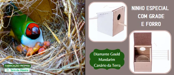 Promoção