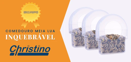 Oferta especial