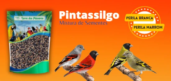 Oferta especial
