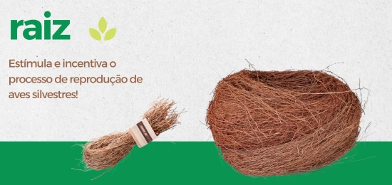 Oferta especial
