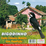 CD - Bigodinho