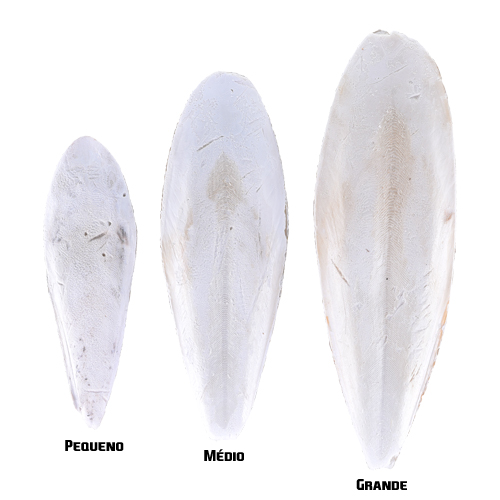 Osso de Siba - Grande - Caixa com 2 kg - imagem 1