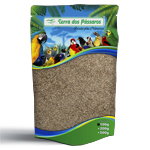 Semente de Grama Bermuda - 100g