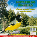 CD - Pintassilgo Pinheiro - Canto Metálico