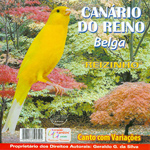 CD - Canário-do-Reino Belga - Reizinho