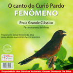 CD - O Canto do Curió Pardo - Fenômeno