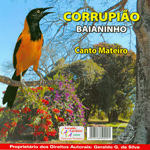CD - Corrupião Baianinho - Canto Mateiro