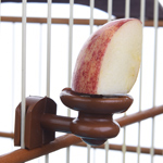 Porta Fruta - Malha Larga - imagem 2