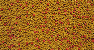Nutrópica - Trinca Ferro - Power Competição - 300g - imagem 2