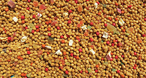 Nutrópica - Calopsita - Frutas - 300g - imagem 2
