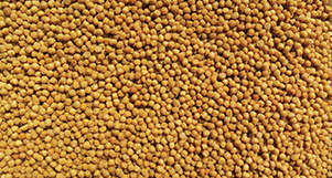 Nutrópica - Calopsita - Natural - 300g - imagem 2