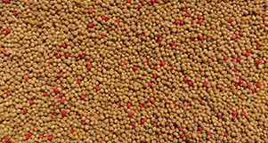 Nutrópica - Canário - 300g - imagem 2
