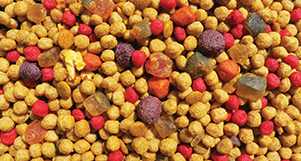 Nutrópica - Papagaio - Frutas - 300g - imagem 2