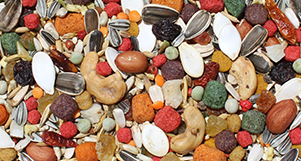 Nutrópica - Papagaio - Gourmet - 1,2kg  - imagem 2