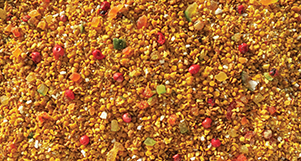 Nutrópica - Farinhada Trinca Ferro - 300g - imagem 2