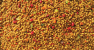 Nutrópica - Trinca Ferro - Frutas - 5kg - imagem 2