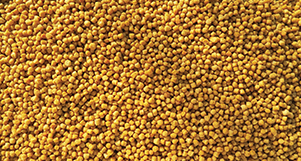 Nutrópica - Trinca Ferro - Natural - 5kg - imagem 2