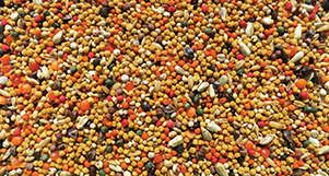 Nutrópica - Seleção Natural - Trinca Ferro - 300g  - imagem 2