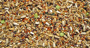 Nutrópica - Seleção Natural - Calopsita - 5kg - imagem 2