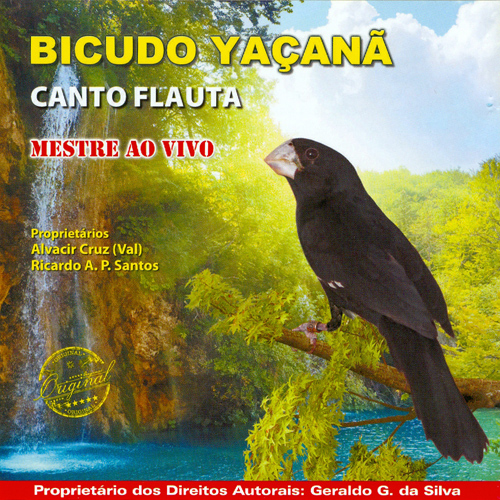 CD - Bicudo Yaçanã - Canto Flauta - imagem 1