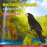 CD - Bicudo Yaçanã - Canto Flauta