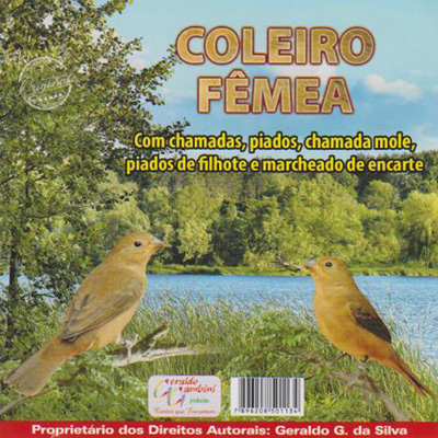 CD - Coleiro Fêmea  - imagem 1