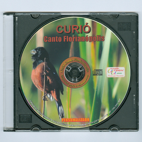 CD - Curió - Canto Florianópolis - imagem 1