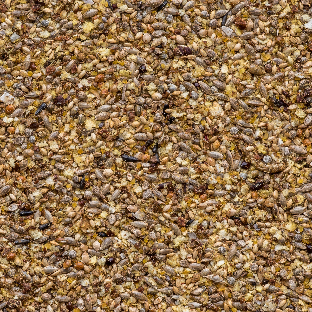 Raposo - Canário Da Terra - Linha Nobre - 500g - imagem 2