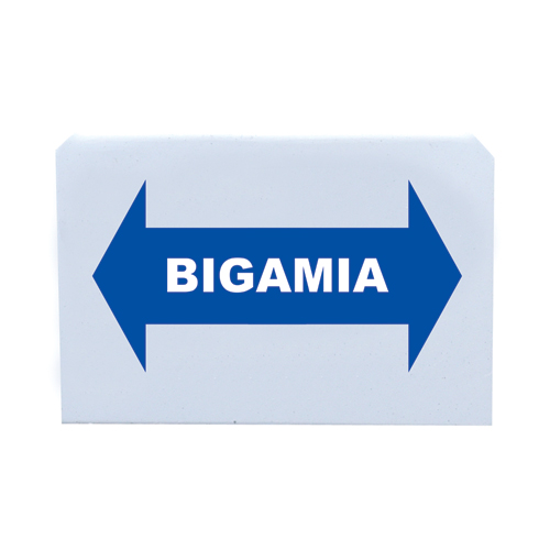 Placa Identificação - Bigamia - imagem 1