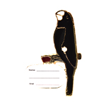 Ornamento com Placa de Identificação - Bicudo
