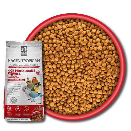 Hari - Extrusada Tropican Alta Performance HP2 - Calopsita - 820g - imagem 2