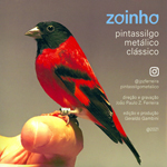 CD - Pintassilgo Da Venezuela Tarim - Canto Metálico Clássico - Zoinho