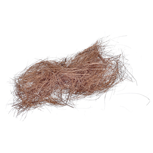 Fibra de Coco - 10g - imagem 1