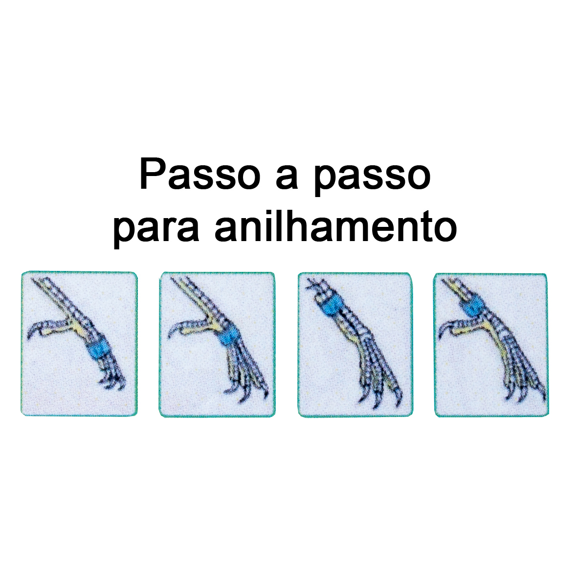 Anilhas Fechadas para Marcação - 2.2 mm - Coleiro - 20 un. - Preta - imagem 3