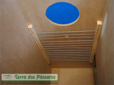 Ninho de Cacatua - imagem 2