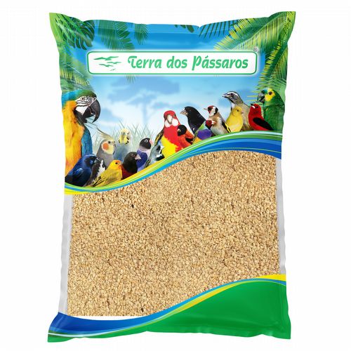 Gergelim Branco com Casca - 500g - imagem 1