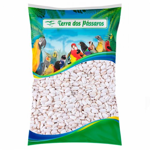 Girassol Branco Egípcio - 2 kg - imagem 1