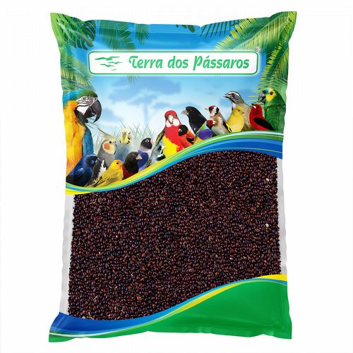 Painço Preto - 500g - imagem 1