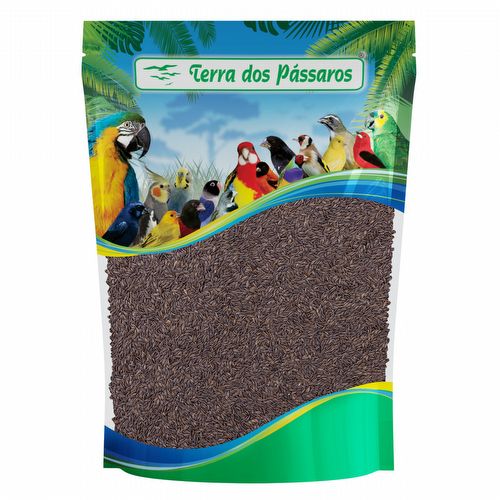 Semente de Alface Crespa - Grand Rapids TBR  - 100g - imagem 1