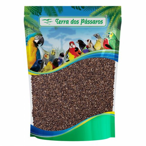 Semente de Almeirão Amarelo - Radiche - 100g - imagem 1