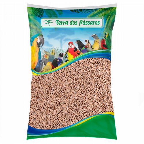Arroz Japonês Pacholinha - Bolinha - 5 kg - imagem 1