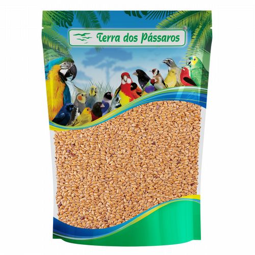 Linhaça Dourada - 200g - imagem 1