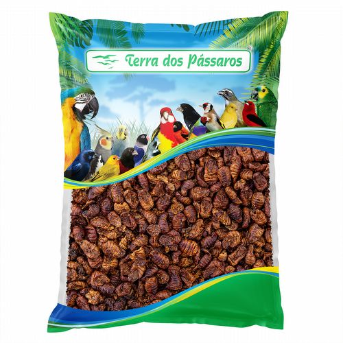 Bicho da Seda - Crisálida - Insetos Desidratados  - 400g - imagem 1