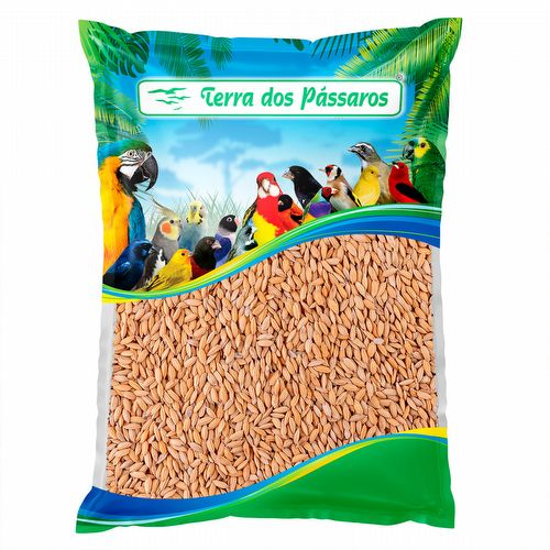 Arroz Cateto - 500g - imagem 1