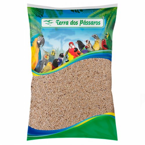 Alpiste - 5 kg - imagem 1